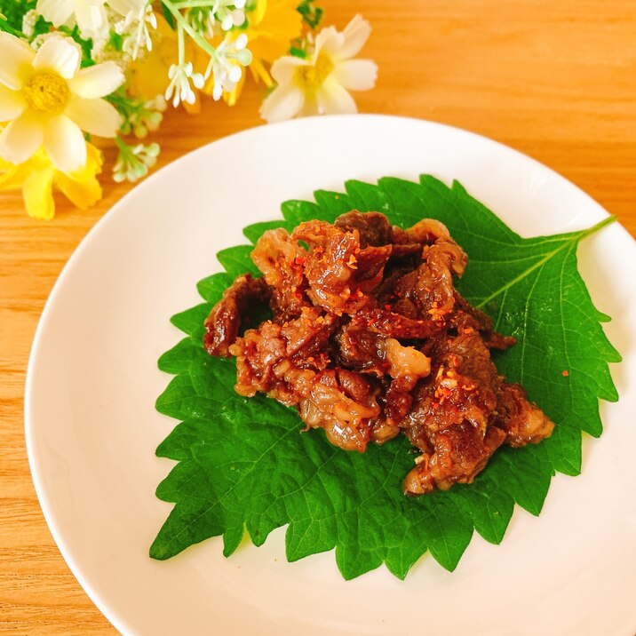 大葉のお皿♪豚肉or牛肉の焼き肉✧˖°